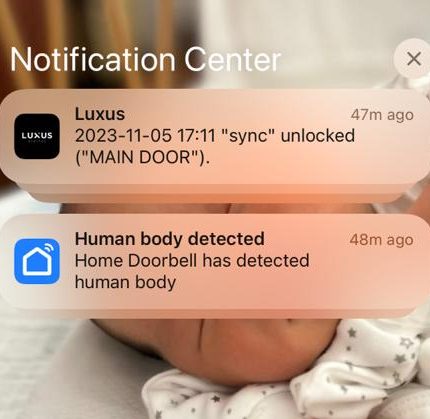 Luxus Digital Doorbell Review (2024) 2: