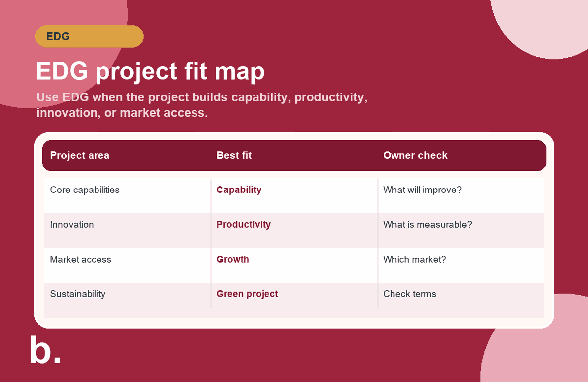Infographic showing Enterprise Development Grant project areas and checks for Singapore SMEs.