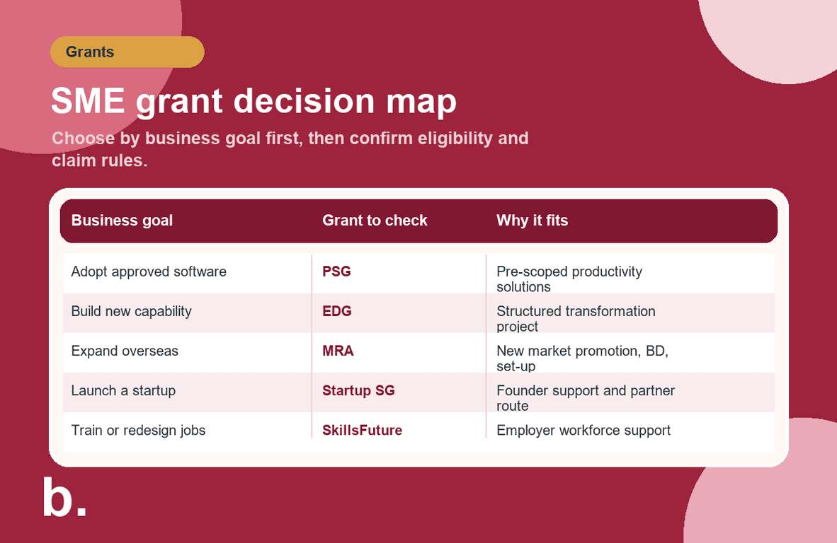 Infographic showing which Singapore SME grant to check for software adoption, capability building, overseas expansion, startup funding and workforce support.